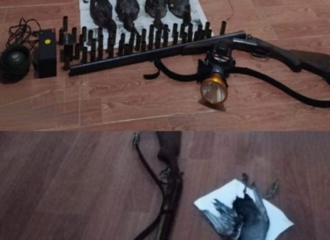 Masallıda qanunsuz ov edən şəxslər saxlanıldı