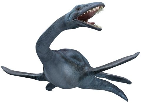 Avstraliyada 100 milyon illik dinozavr skeleti tapıldı