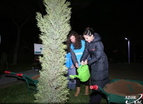 Leyla Əliyevanın təşəbbüsü ilə yeni layihəyə start verildi – FOTO