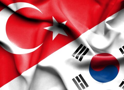 Cənubi Koreya Türkiyədə dörd nüvə reaktoru tikməyi PLANLAŞDIRIR