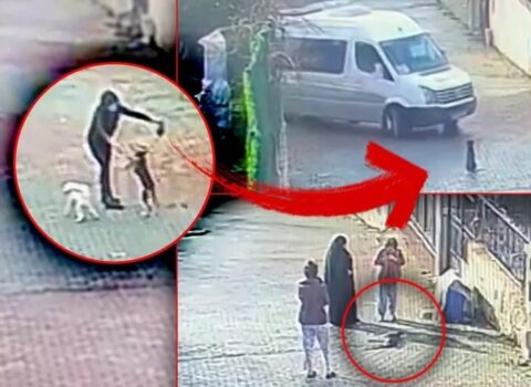 Avtobus sürücüsü itin üstündən keçdi, arxasına baxmadan getdi – VİDEO