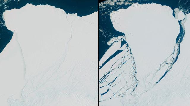 Antarktidadan Sankt-Peterburq şəhəri böyüklüyündə buz kütləsi QOPDU
