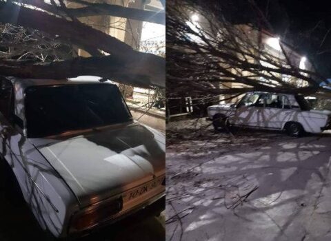 Kürdəmirdə külək ağacı avtomobilin üzərinə aşırdı – FOTOLAR