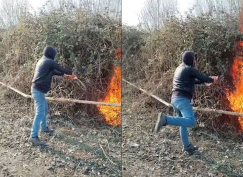 Zərdabda qaz xətti keçən ərazini yandıran şəxs saxlanıldı