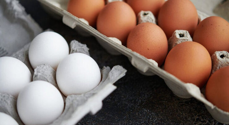 Yumurta bahalaşıbmı? – İstehsalçılardan AÇIQLAMA