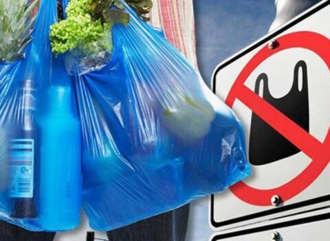Marketlərdə sellofan paketlər bu qiymətə SATILACAQ