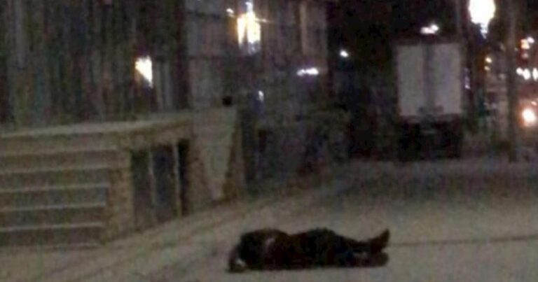 Dünya çempionu Vidadi Mərdanov güllələndi – FOTO Dünya çempionu Vidadi Mərdanov güllələndi – FOTO