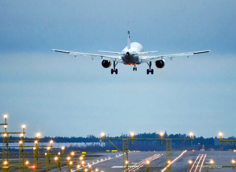 Kök olduğuna görə 19 sərnişin təyyarədən çıxarıldı
