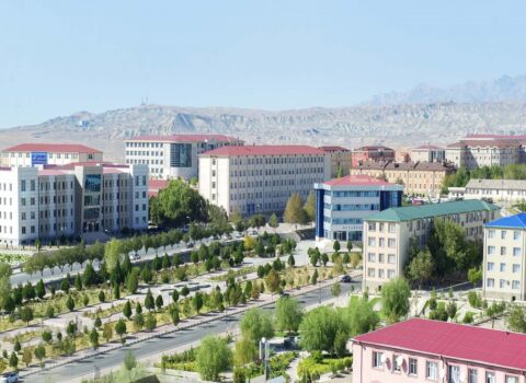 Naxçıvanda azad iqtisadi zona yaradılacaq