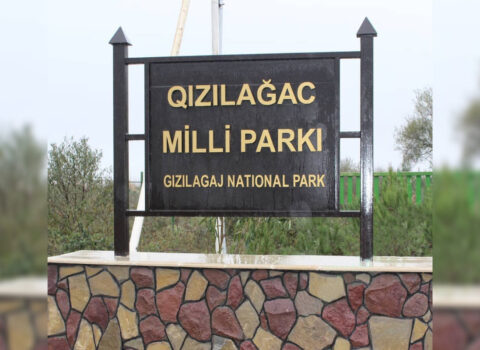 Qızılağac Milli Parkında brakonyerlərə məxsus qayıqlar AŞKARLANDI