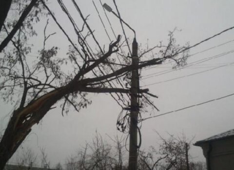 Güclü külək nəticəsində 92 yaşayış məntəqəsi elektrik enerjisiz qaldı