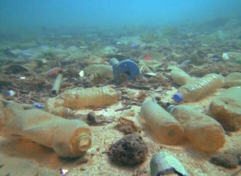 Ekoloqlardan həyəcan TƏBİLİ: Okeanlarda 171 trilyon plastik qalıq var