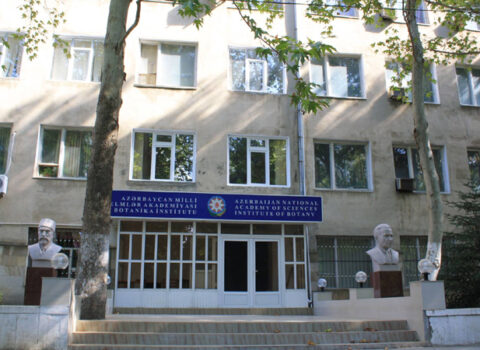 Bakıda bu institut köçürülür – SƏBƏB