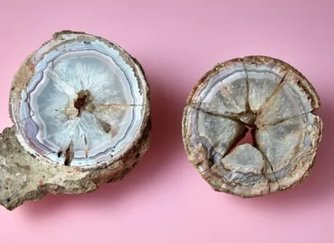 London muzeyindəki əqiqin dinozavr yumurtası olduğu ortaya çıxdı