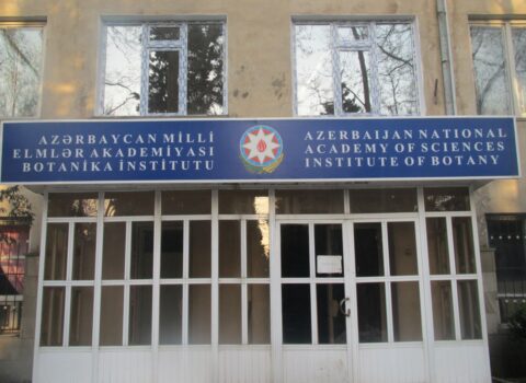 Botanika institutu söküləcək? – Rəsmi AÇIQLAMA