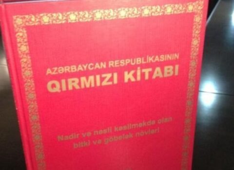 “Qırmızı kitab”a düşən minlərlə bitkini xaricə aparkən saxlanıldı