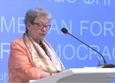 “Ermənistanın İstanbul konvensiyasını ratifikasiya etməsini istəyirəm” – AB səfiri