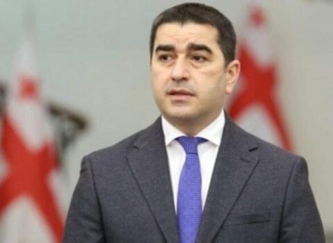 Papuaşvili: “Baş nazirin istefası ilə bağlı yayılan məlumatlar spekulyasiyadır”