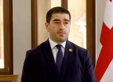 Gürcüstan parlamentinin spikeri Rusiya haqqında: “Bu, güzəşt siyasəti deyil. Bu, səbrin strateji siyasətidir”