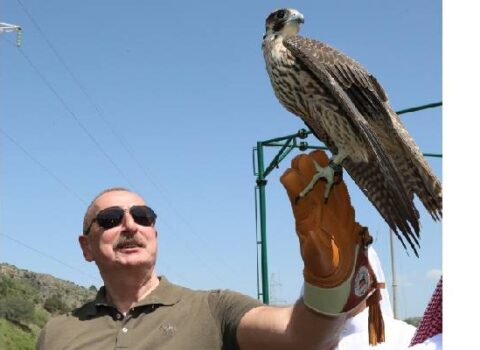 Şahinlər təbiətə, balıqlar Həkəri çayına… – Fotolar