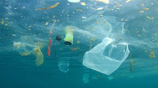 2060-cı ildə okeanda plastik tullantıların miqdarı balinaların kütləsindən çox olacaq 2060-cı ildə okeanda plastik tullantıların miqdarı balinaların kütləsindən çox olacaq