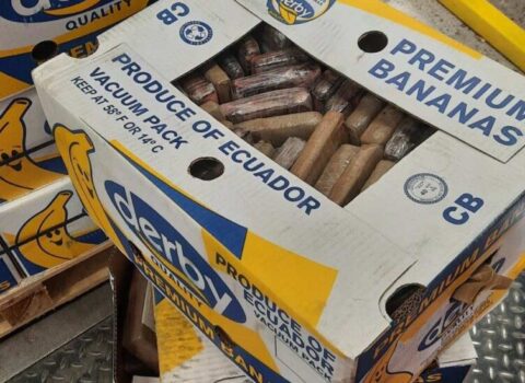 Banan qutularında 233 milyon avroluq kokain TAPILDI