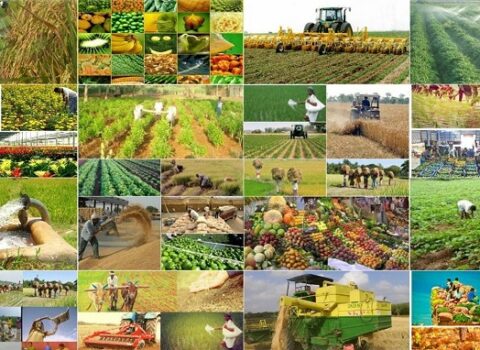 Regionların sürətli inkişafı üçün bütün imkanlar var – ŞƏRH