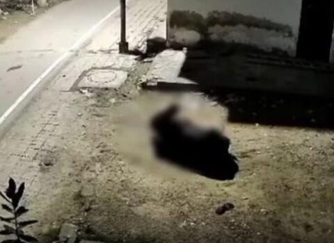 65 yaşlı hindli qadının iyrənc əməli Hindistanı QARIŞDIRDI