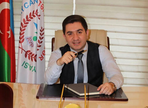 Elvin Mahmudzadə saxlanıldı