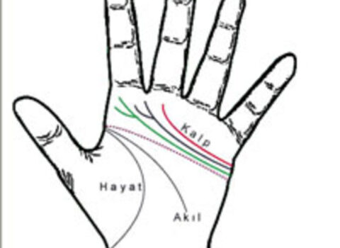 Ovcumuzdakı “M” hərfinin MƏNASI