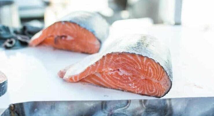 Balıq alarkən DİQQƏTLİ OLUN – VİDEO