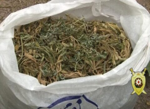 Lənkəranda evdən külli miqdarda narkotik tapıldı