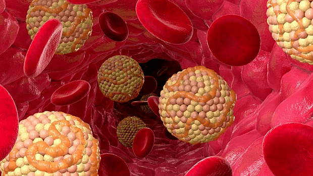 Bu tərəvəz xolesterinin səviyyəsini aşağı salır – Yapon dietoloq AÇIQLADI Bu tərəvəz xolesterinin səviyyəsini aşağı salır – Yapon dietoloq AÇIQLADI