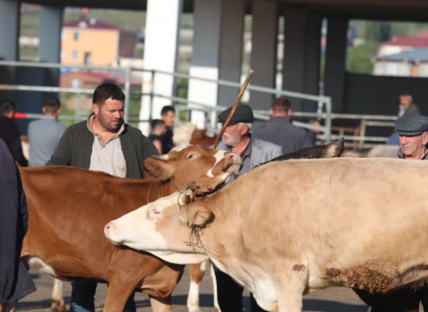 Bayramda 29 983 “naşı qəssab” XƏSTƏXANALIQ oldu – FOTOLAR
