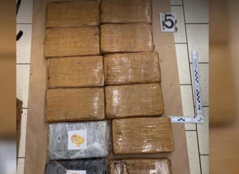 Supermarketdə banan qutularından 646 kiloqram kokain ÇIXDI