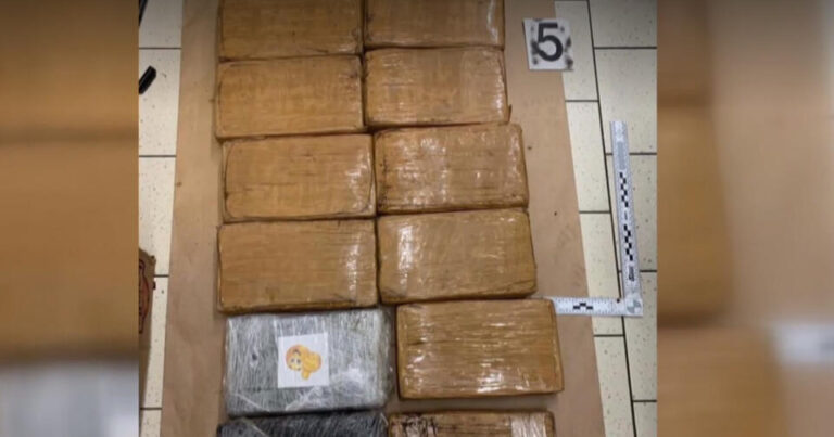 Supermarketdə banan qutularından 646 kiloqram kokain ÇIXDI Supermarketdə banan qutularından 646 kiloqram kokain ÇIXDI