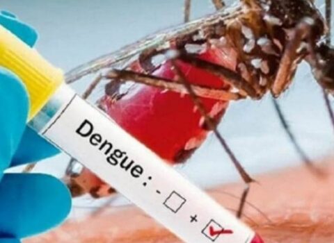Banqladeşdə dang qızdırmasından ölənlərin sayı 300-ü keçdi
