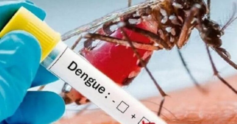 Banqladeşdə dang qızdırmasından ölənlərin sayı 300-ü keçdi Banqladeşdə dang qızdırmasından ölənlərin sayı 300-ü keçdi