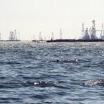 Xəzər getdikcə yoxa çıxır: suyun səviyyəsi rekord həddə azalıb – ŞOK SƏBƏBLƏR
