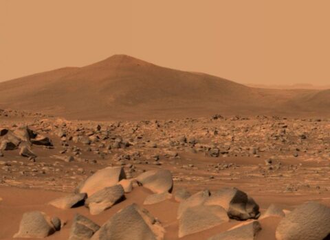 İnsanlar təsadüfən Marsda həyatı məhv edə bilər – Alim