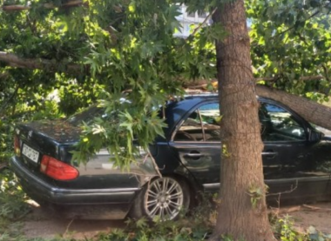 Gəncədə minik maşını ağaca çırpıldı