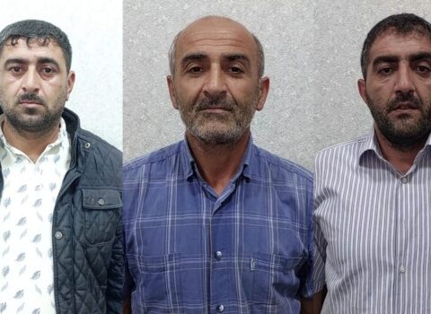 Lənkəranda meşədən mal-qara oğurlayanlar həbs edildi