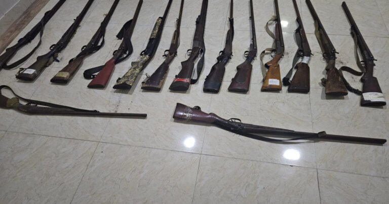 Sabirabadda 15 qanunsuz silah götürüldü