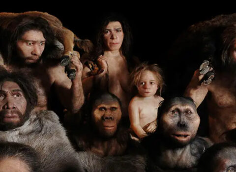 Müasir bəşəriyyət 1280 nəfərin sayəsində mövcud olub? – ELMİ ARAŞDIRMA