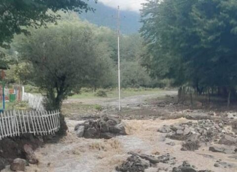 Leysan Oğuz rayonunda fəsadlar törətdi