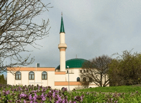Avstriyada məscidin girişinə donuz başı qoyuldu