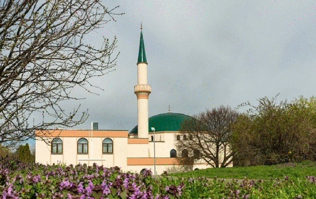 Avstriyada məscidin girişinə donuz başı qoyuldu Avstriyada məscidin girişinə donuz başı qoyuldu