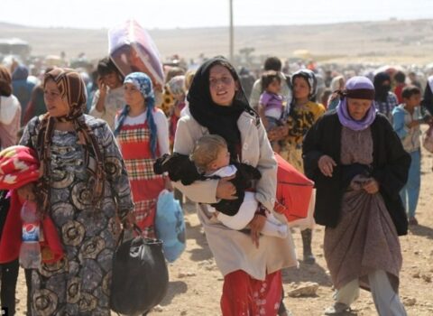 Avropada sığınacaq: Müraciət edənlərin sayı artıb