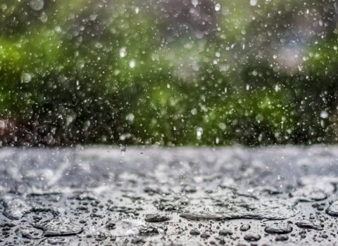İstirahət gününün hava proqnozu açıqlandı