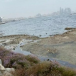 Mövsümi dəyişmələr: İlin hansı vaxtında Xəzərdə enmə və qalxmalar olur?